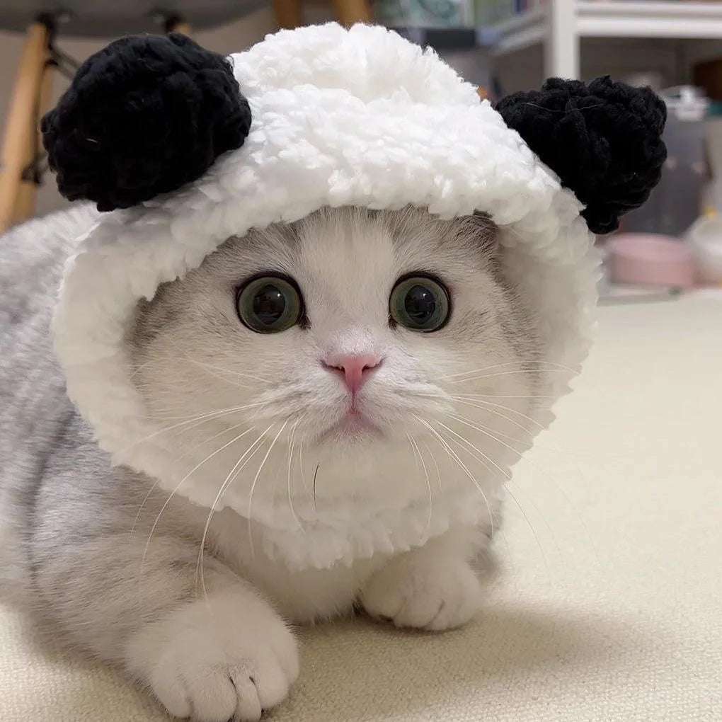 Funny Cat Hat | Plush Yarn Cosplay Cap