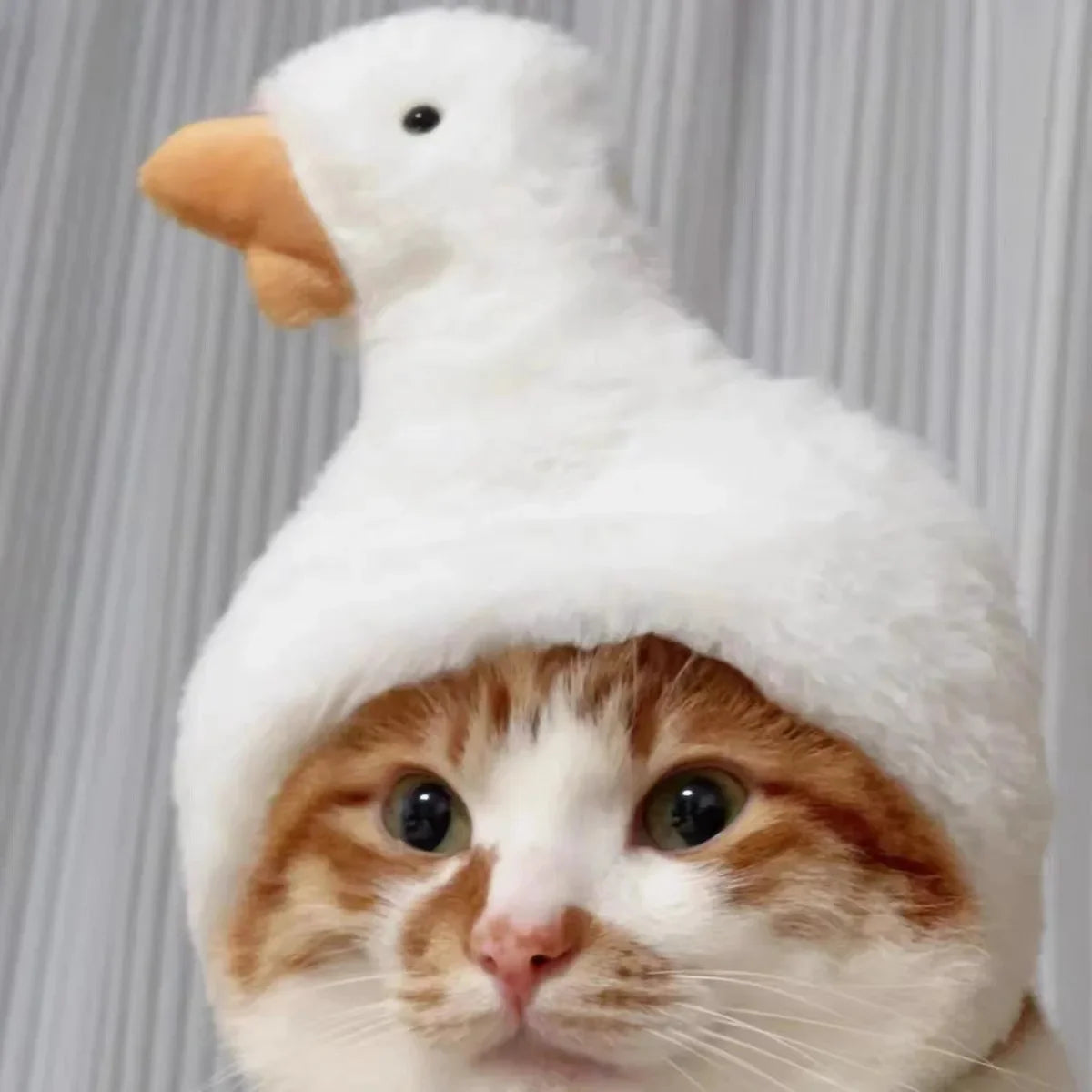 Funny Cat Hat | Plush Yarn Cosplay Cap