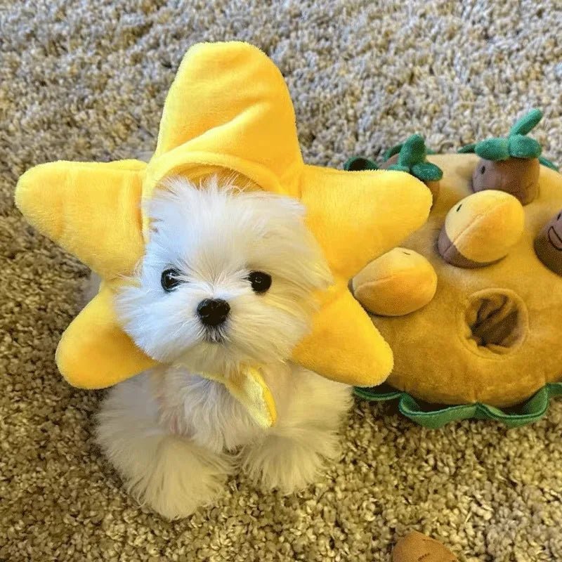 Funny Cat Hat | Plush Yarn Cosplay Cap